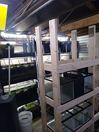 Breeding racks